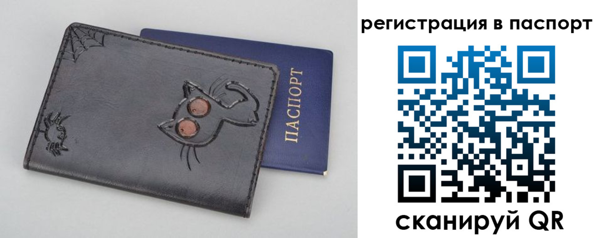 прописка законно в Железногорске